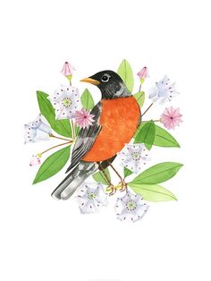 an orange and black bird sitting on top of a branch with flowers in the background