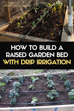 how to build a raised garden bed with drip irrigation