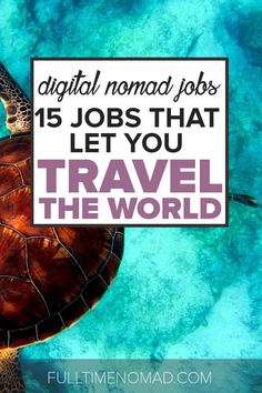 a turtle swimming in the ocean with text overlay that reads, 15 jobs that let you travel the world