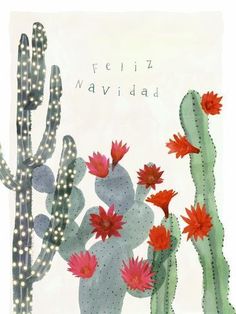 a cactus with red flowers and the words feliz naviddad written in spanish