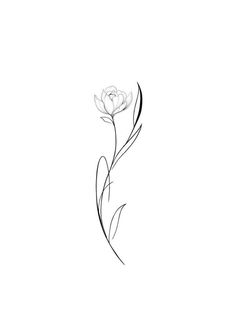 a black and white drawing of a single flower on a white background with long thin lines