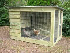 two chickens in a small wooden coop