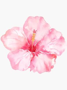 a pink flower on a white background with watercolor paint effect in the bottom corner