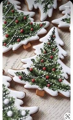 christmas cookies decorated with icing and pine trees are on a table next to each other