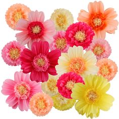 a bunch of different colored flowers on a white background