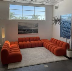 an orange couch sitting on top of a white rug next to a large potted plant