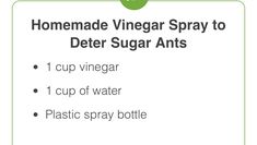 the ingredients for homemade vinegar spray to deter sugar and other things that can be used