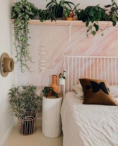 some plants are hanging on the wall above a bed