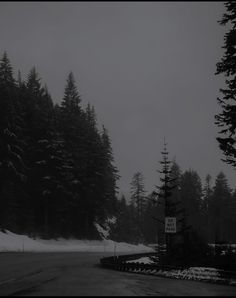 black and white photograph of snow covered road in front of pine trees with street sign