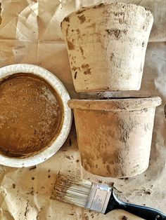 a potted plant next to a paintbrush on top of a paper plate and another pot