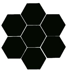 the hexagonal pattern is black and white