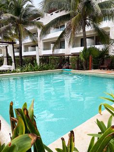 an empty swimming pool surrounded by palm trees