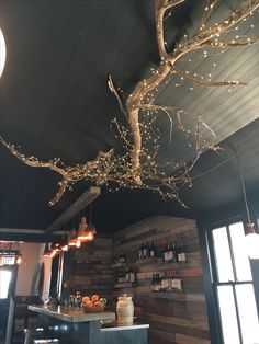 a tree branch hanging from the ceiling in a restaurant with lights strung down it's branches