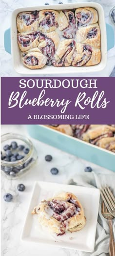 blueberry rolls in a casserole dish with text overlay that reads, sourdough blueberry rolls a blossoming life