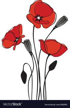 three red poppies on a white background with black lines and an image of the flower