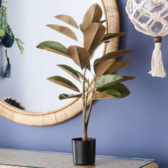 a potted plant sitting on top of a glass table next to a round mirror