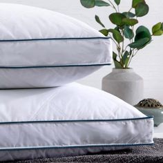 two pillows stacked on top of each other next to a potted plant and vase