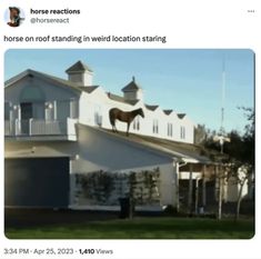 a horse standing on top of a roof in front of a white house with windows