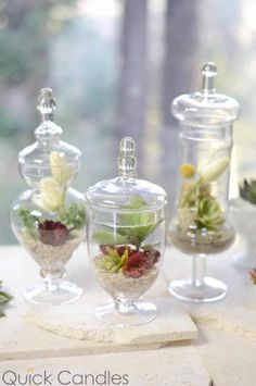 three glass vases filled with plants on top of a table