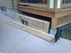 two cats standing in front of a wooden bench on the side of a building with metal grates