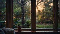 a window with rain drops on it and a potted plant in the foreground