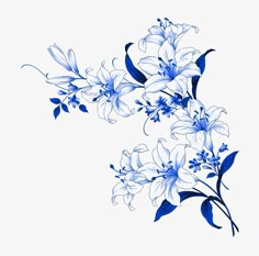 blue and white flowers on a white background