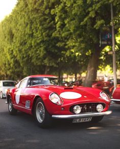 Ferrari Red, Vintage Sports Cars, Sports Shoes Outfit, Eating Before Bed, Interior Vintage, Ferrari 250, Best Homemade Dog Food, Cool Sports Cars, Dream Machine