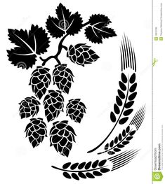 black and white silhouette of hops, leaves and wheat on a white background illustration