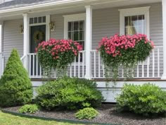 some pink flowers are in the window boxes on this house's front porch,