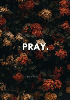 the words pray are written in white on top of an image of orange and yellow flowers