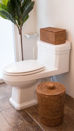 a white toilet sitting in a bathroom next to a plant and a basket on the floor