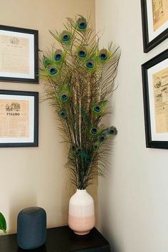 there is a vase with peacock feathers in it on the table next to some framed papers