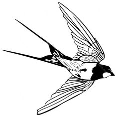 a black and white drawing of a bird flying