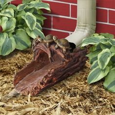 three little turtles sitting on top of a piece of wood in front of some plants