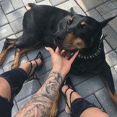 a dog laying on the ground next to a woman's leg with her hand in her mouth