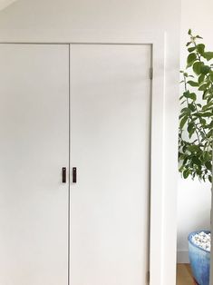 a tall white cabinet sitting next to a potted plant