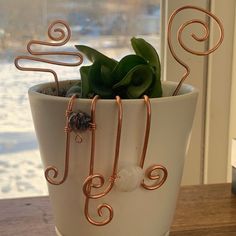 a potted plant sitting on top of a wooden table next to a glass window