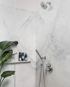 a bathroom with white marble walls and flooring next to a green leafy plant