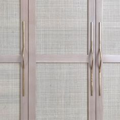 two doors with gold handles on each side