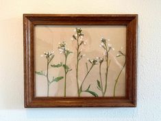 some white flowers are in a wooden frame