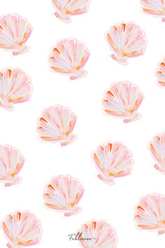 an image of pink and gold seashells on a white background for wallpaper