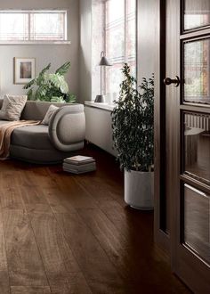 a living room filled with furniture and a plant on top of a hard wood floor