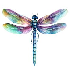 a colorful dragonfly sitting on top of a white surface with lots of dots in it's wings