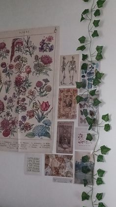 there are many different pictures on the wall with ivy growing up to it's sides