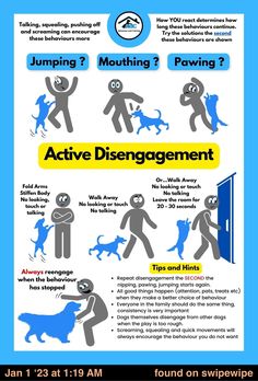 a poster with instructions on how to use an active disengnment device for dogs