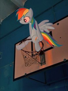 a sign that is hanging from the side of a basketball hoop with a rainbow pony on it