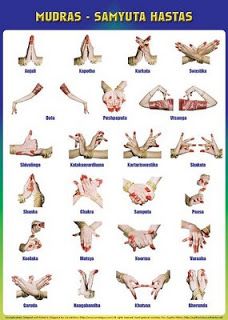 the poster shows different types of hands and feet