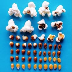 several different types of popcorn on a blue surface with white and brown kernels in the middle