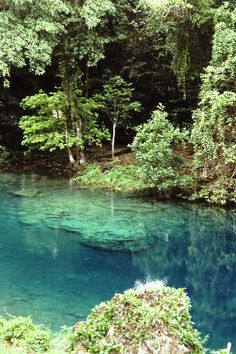 the blue pool is surrounded by trees and water in the middle of the forest,