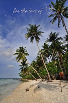 palm trees on the beach with words for the love of hope